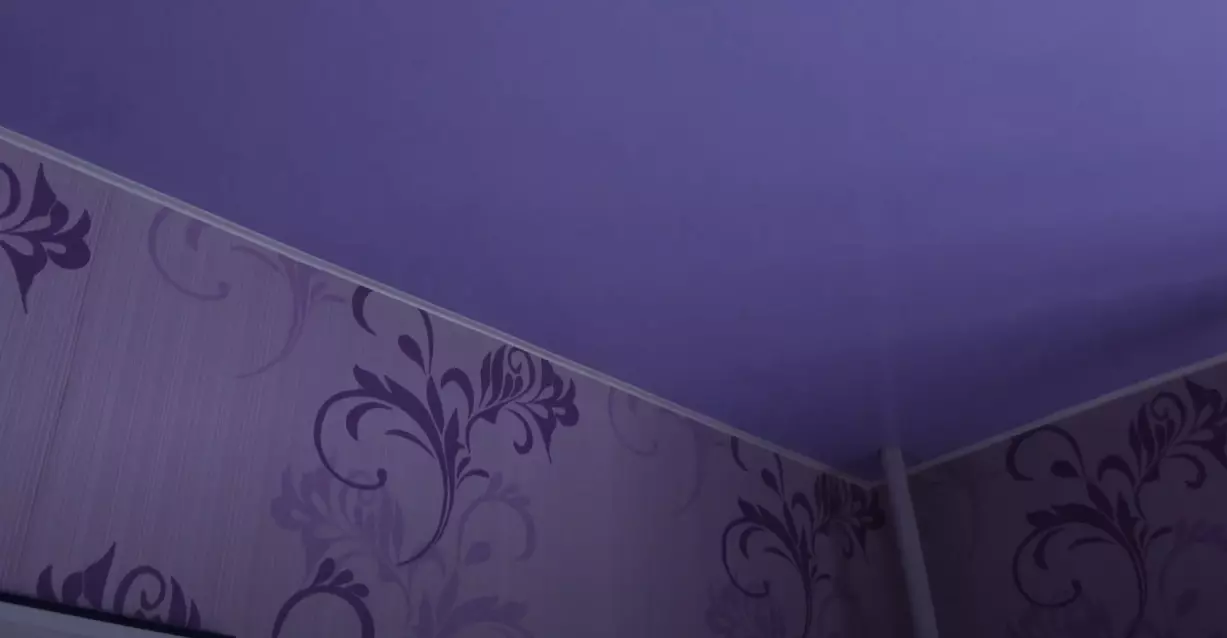 Петрозаводск, проспект Александра Невского, 31, фото 2