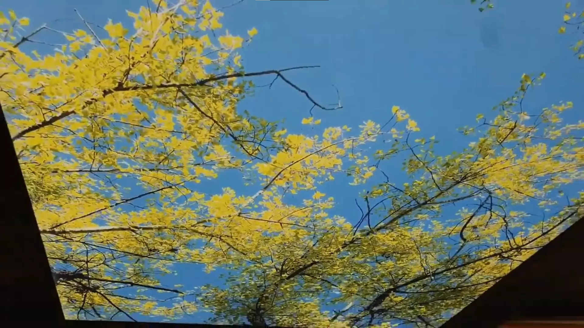 Воткинск, улица Холмогорова, 21, фото 2