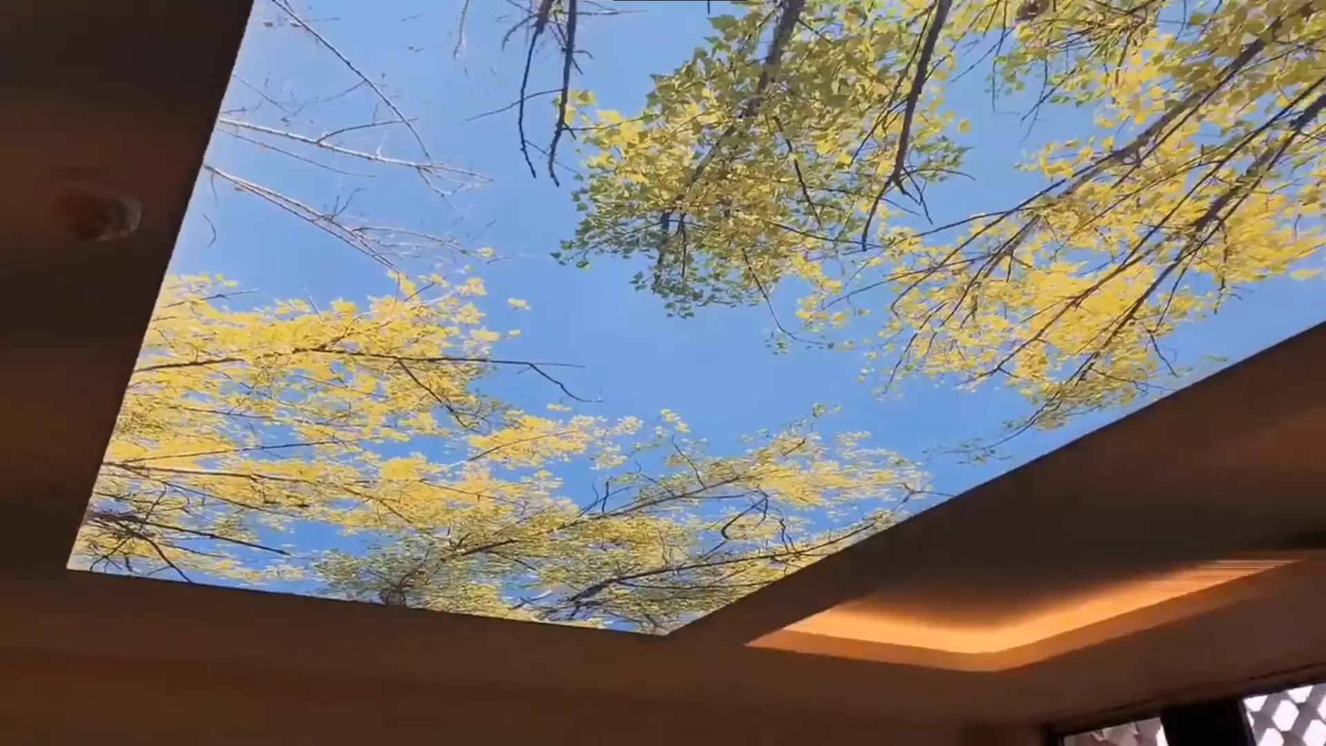 Воткинск, улица Холмогорова, 21, фото 3