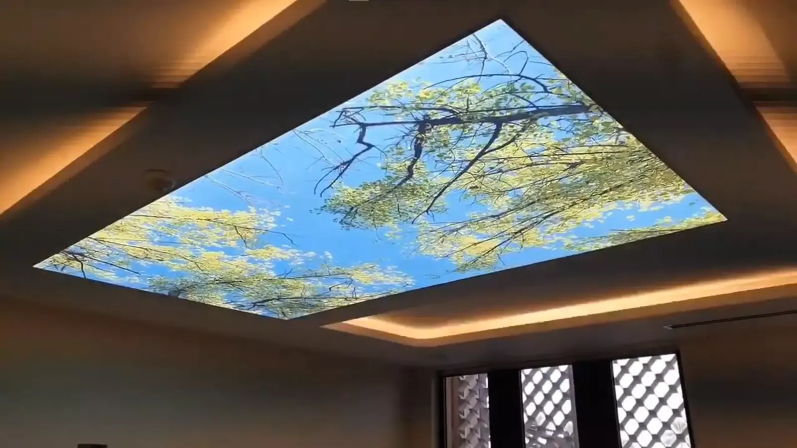 3D натяжной потолок — Петрозаводск, Лесной проспект, 47, фото 1